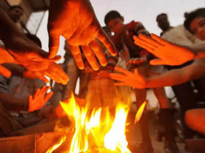 Weather Alert : पुढच्या ३ दिवसांत राज्य गारठणार, तापमान पुन्हा एकदा १० अंशांपेक्षा कमी होणार