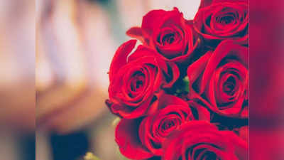 Happy Rose Day 2022 Wishes, Whatsapp Status & Image:  ऐसे कहें अपने दिल का हाल