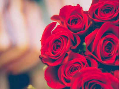 Happy Rose Day 2022 Wishes, Whatsapp Status & Image:  ऐसे कहें अपने दिल का हाल