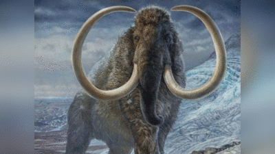 Wooly Mammoth: धरती पर फिर वापस लौटेंगे दैत्‍याकार मैमथ! , वैज्ञानिक बना रहे आर्कटिक हाथी