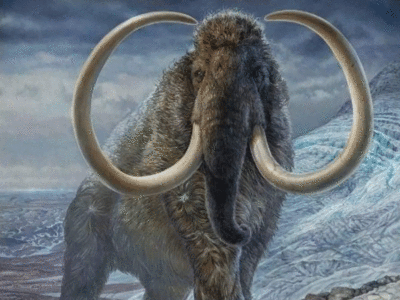 Wooly Mammoth: धरती पर फिर वापस लौटेंगे दैत्‍याकार मैमथ! , वैज्ञानिक बना रहे आर्कटिक हाथी