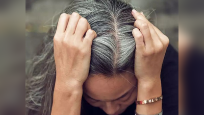 Best Food For Grey Hair: बुढ़ापे तक नहीं होंगे बाल सफेद, आज से ही अपनी डाइट में शामिल करें ये 5 चीजें