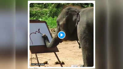 चित्रकार हत्ती कधी तुम्ही पाहिला का? हा Video एकदा पाहाच