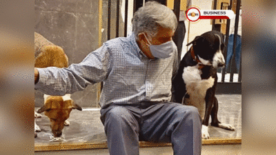 Ratan Tata Dog: গুরুত্বের মিটিংয়ে পোষ্য Goa - কে সঙ্গে রাখেন Ratan Tata!