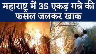 महाराष्ट्र के नासिक में जली 35 एकड़ गन्ने की फसल, शार्ट सर्किट से लगी थी आग
