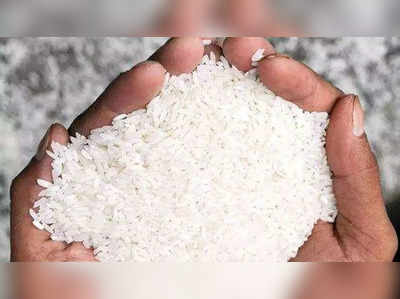 Bihar News : अब इस खास चावल से नीतीश सरकार भगाएगी कुपोषण, बिहार की बड़ी आबादी के लिए स्पेशल प्लान को मंजूरी
