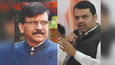 fadnavis slams sanjay raut : फडणवीसांचा संजय राऊतांवर पलटवार; म्हणाले, सिंह गिधाडाच्या धमक्यांना...