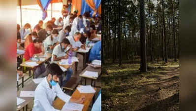 Gujarat Class-3 recruitment: 2018માં મુલતવી રખાયેલી વનરક્ષકની 334 જગ્યાની ભરતી પ્રક્રિયા અંગે મહત્વનો નિર્ણય