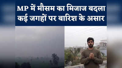 MP Today Weather Forecast News : एमपी में मौसम ने मारी पलटी, रीवा में बूंदाबांदी, बढ़ी सर्दी