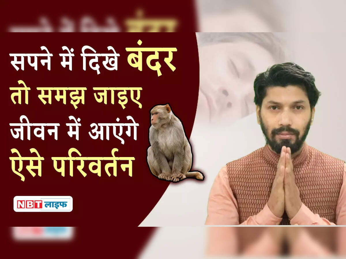Monkey In Dream,सपने में दिखे बंदर तो समझ जाइए जीवन में आएंगे ऐसे परिवर्तन - monkey in dream sapne me bandar dekhne ka arth - Navbharat Times Monkey In Dream,सपने में दिखे बंदर तो समझ जाइए जीवन में आएंगे ऐसे परिवर्तन - monkey in dream sapne me bandar dekhne ka arth - Navbharat Times