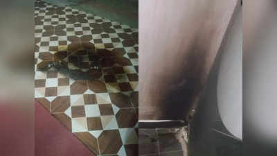 Tamil Nadu: बीजेपी दफ्तर पर फेंके गए पेट्रोल बम को केंद्रीय मंत्री ने बताया कायराना हरकत, NIA जांच की मांग