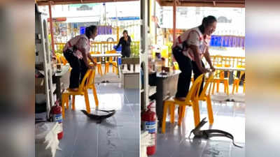 Monitor lizard ने रेस्टोरेंट में मारी एंट्री, महिला का डर देख लोग हंस दिए