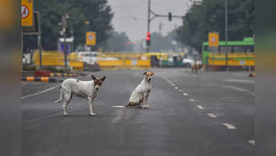 Hyderabad news: कुत्तों से करता था सेक्स, CCTV में दर्ज हुई हरकत, पुलिस ने दर्ज की FIR