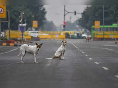 Hyderabad news: कुत्तों से करता था सेक्स, CCTV में दर्ज हुई हरकत, पुलिस ने दर्ज की FIR
