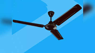 Amazon Offers : गर्मी आने से पहले सस्ते में खरीद सकते हैं ये Ceiling Fan, मिलेगी फुल स्पीड हवा