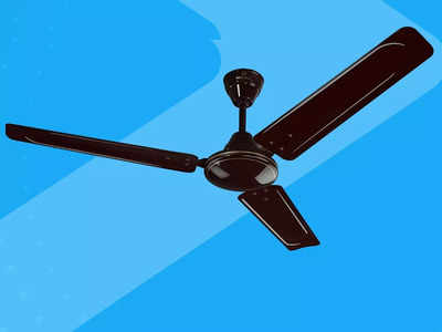 Amazon Offers : गर्मी आने से पहले सस्ते में खरीद सकते हैं ये Ceiling Fan, मिलेगी फुल स्पीड हवा