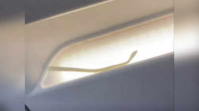 Snake on a Plane Video: जब फ्लाइट में घुस गया अनजाना मेहमान, सांप को देख करनी पड़ी इमरजेंसी लैंडिंग