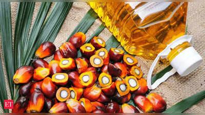 Crude Palm Oil: వినియోగదారులకు ఊరట, కీలక నిర్ణయం తీసుకున్న కేంద్రం