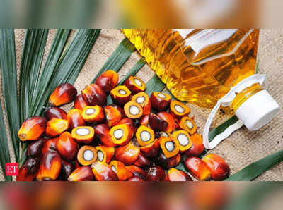 Crude Palm Oil: వినియోగదారులకు ఊరట, కీలక నిర్ణయం తీసుకున్న కేంద్రం