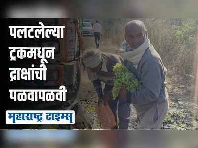 पुलगाव मार्गे नागपूरला जाणारा द्राक्षाचा ट्रक उलटला, लोकांनी द्राक्षांवर डल्ला मारला