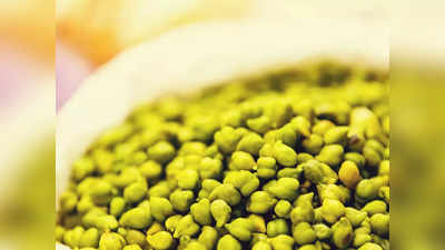 Superfood Green Chana: गुणों की खान है सर्दियों में बिकने वाला हरा चना, इसके फायदे जानकर आज ही कर लेगें Diet में शामिल