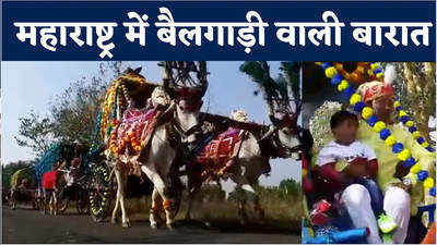 Bullock Cart News: महाराष्ट्र के अमरावती में बैलगाड़ी में निकली अनोखी बारात