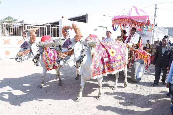 rajkot bullock cart