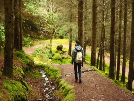 Trekking Points In Goa,बहुत बैठ लिए समुद्र किनारे, अब जूते पहनिए और तैयार  हो जाइए दोस्तों के साथ गोवा की इन पहाड़ी जगहों पर ट्रेकिंग करने - enjoy  these trekking ...
