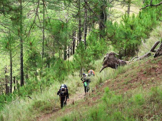 Trekking Points In Goa,बहुत बैठ लिए समुद्र किनारे, अब जूते पहनिए और तैयार  हो जाइए दोस्तों के साथ गोवा की इन पहाड़ी जगहों पर ट्रेकिंग करने - enjoy  these trekking ...