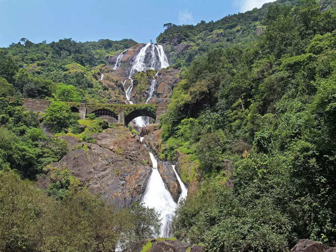 दूधसागर फॉल्स ट्रेक - Dudhsagar Falls Trek