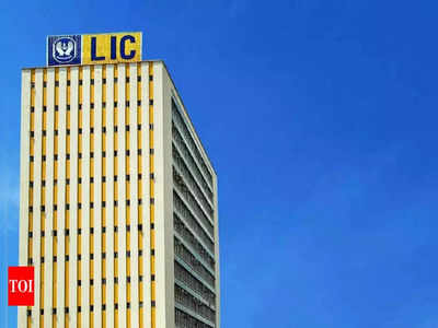 LIC IPO : ఈ పాలసీహోల్డర్లకు డిస్కౌంట్‌లో షేర్లు రావు, తప్పక రూల్స్ తెలుసుకోవాలి