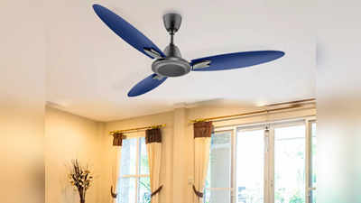 Low Price Ceiling Fan : गर्मियों के पहले ही कम दाम मिल रहे हैं ये Ceiling Fans, आकर्षक डिजाइन में मौजूद