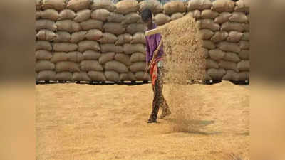 बिहार में रिकॉर्ड 6.43 लाख किसानों से हुई धान की खरीद, सीएम नीतीश ने सामने रखे आंकड़े