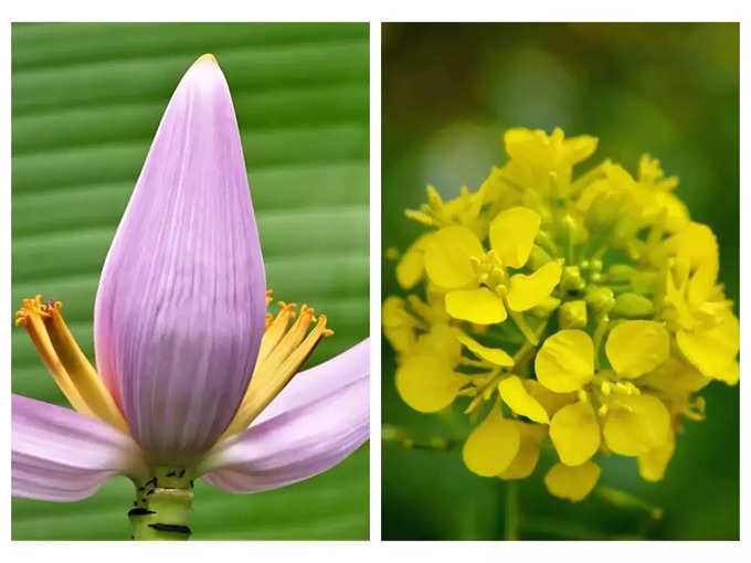 மருத்துவ குணம் நிறைந்த பூக்கள்