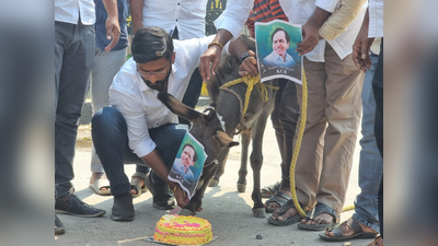 கழுதைக்கு கேசிஆர் படம் மாட்டி போராடிய காங்... தூக்கி உள்ளே வைத்த போலீஸ்!