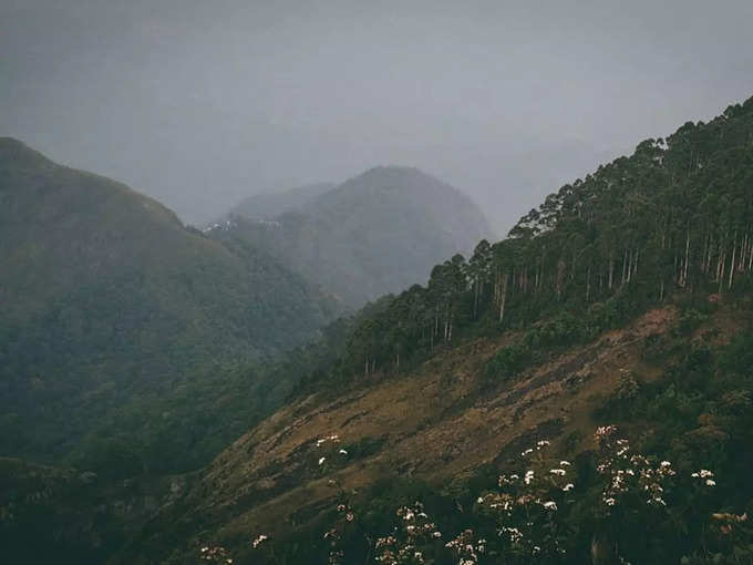 ​ಗ್ರೀನ್‌ ವ್ಯಾಲಿ ವ್ಯೂ