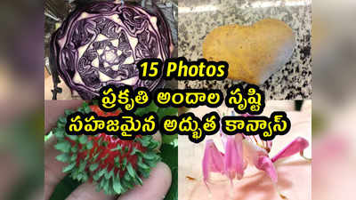 15 Pics: ప్రకృతి అందాల సృష్టి.. సహజమైన అద్భుత కాన్వాస్ 