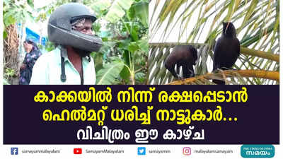 കാക്കയിൽ നിന്ന് രക്ഷപ്പെടാൻ  ഹെൽമറ്റ് ധരിച്ച് നാട്ടുകാർ ...വിചിത്രം ഈ കാഴ്ച