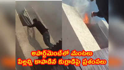 video: అపార్ట్‌మెంట్‌లో మంటలు.. పిల్లల్ని కాపాడిన కుర్రాడిపై ప్రశంసలు