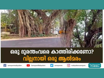 ഒരു ദുരന്തം വരെ കാത്തിരിക്കണോ? ചന്തേര റോഡിൽ വില്ലനായി ഒരു ആൽമരം, വീഡിയോ കാണാം