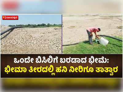 ಬೇಸಿಗೆಗೂ ಮುನ್ನ ಬರಿದಾದಳು ಭೀಮೆ: ಭೀಮಾ ತೀರದ ಜನರಿಗೆ ಹನಿ ಹನಿ ನೀರಿಗೂ ಹಾಹಾಕಾರ