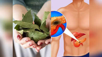 <strong>Ayurvedic herbs : </strong>झोपण्याआधी रूममध्ये जाळा या वनस्पतीची 4 पानं, डायबिटीज, अनिद्रा, हृदयरोग, लो इम्युनिटीसारखे 6 आजार होतील मुळासकट दूर!