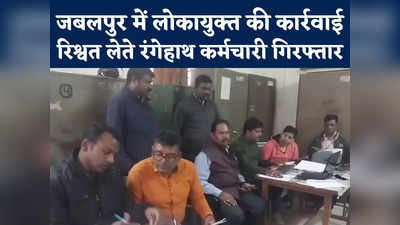 Jabalpur News : जबलपुर में लोकायुक्त की कार्रवाई, संभागीय आदिवासी कार्यालय से रिश्वत लेते कर्मचारी गिरफ्तार