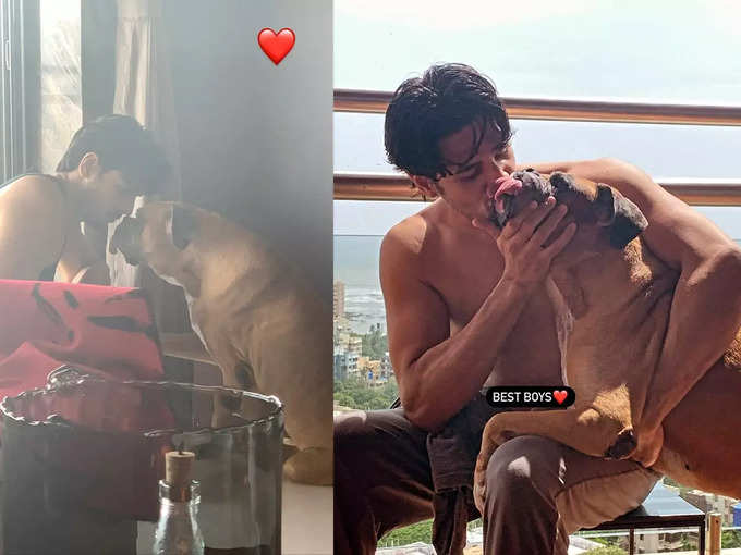 Sidharth Malhotra, Kiara Advani are heartbroken at the death of his dog