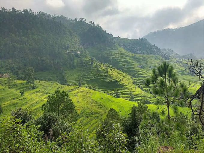 कौसानी - Kausani in Hindi