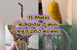 15 Pics: అసాధారణ దృశ్యాలు.. ఆశ్చర్యపరిచే అంశాలు