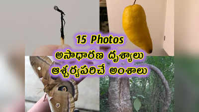 15 Pics: అసాధారణ దృశ్యాలు.. ఆశ్చర్యపరిచే అంశాలు 