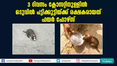 3 ദിവസം ക്ലോസറ്റിനുള്ളില്‍; ഒടുവിൽ പട്ടിക്കുട്ടിയ്ക്ക് രക്ഷകരായത് ഫയര്‍ ഫോഴ്‌സ്