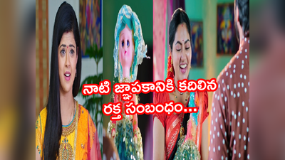 Devatha ఫిబ్రవరి 25 ఎపిసోడ్: బొమ్మే సాక్ష్యం.. నాటి రుక్మిణీ కలే ఫలించింది.. మనసుల్ని మెలిపెట్టే మరో సీన్