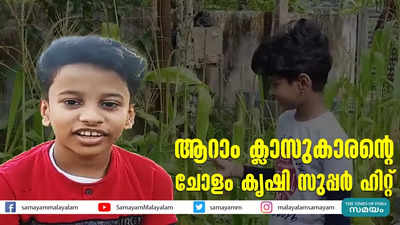 ആറാം ക്ലാസുകാരന്റെ  ചോളം കൃഷി സുപ്പർ ഹിറ്റ്